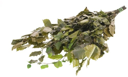 Gepreserveerd BeukenBlad Fagus 75cm.; 150gr Gepreserveerd